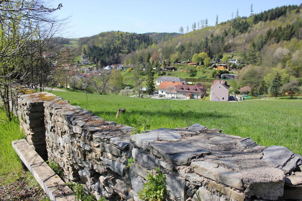 Ferienwohnung Zum Alten Forsthaus Messern Екстер'єр фото